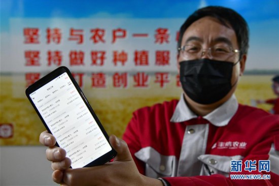 (新華全媒頭條·圖文互動(dòng))(4)特殊之年夏糧豐收背后的特殊之舉